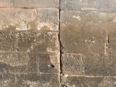 Vertical crack running through several courses of a block seawall